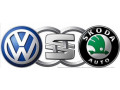 aktivaciia-skrytyx-funkcii-vag-skoda-vw-audi-diagnostika-app-connect-small-0