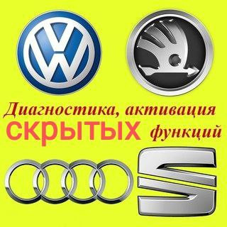 aktivaciia-skrytyx-funkcii-vag-skoda-vw-audi-diagnostika-app-connect-big-1