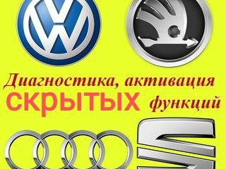 Активация скрытых функций VAG Skoda VW Audi диагностика APP Connect