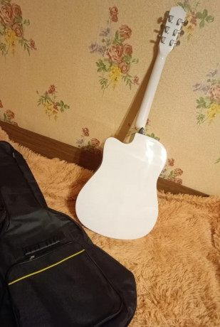 koncertnaia-sestistrunnaia-gitara-stiller-big-1