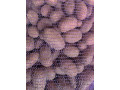 domasnii-kartofel-small-0