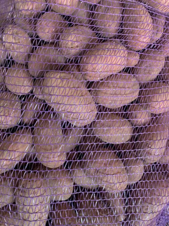 domasnii-kartofel-big-0