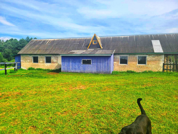 prodam-gotovyi-biznes-fermerskoe-xoziaistvo-big-2