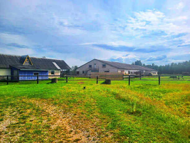 prodam-gotovyi-biznes-fermerskoe-xoziaistvo-big-1