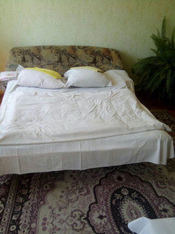 v-kottedze-na-sutki-do-6-komnat-perenocevat-gruppe-do-20-cel-big-5