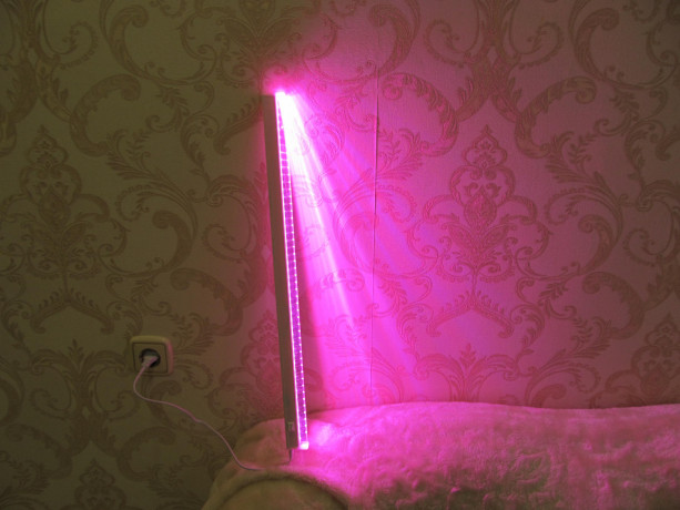 fito-lampa-fito-svetilnik-alfaled-seriia-li-10vt-57-sm-provod-45sm-big-4