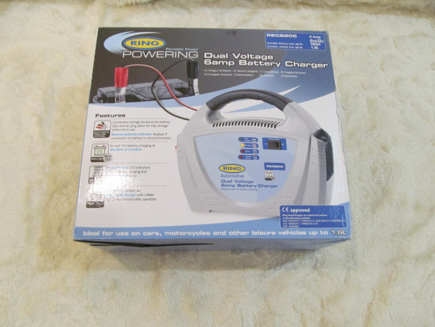 zariadnoe-ustroistvo-avtomobilnyx-motocikletnyx-akb-12v-ring-recb206-big-7