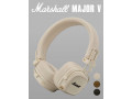 marshall-major-v-novye-garantiia-liuboi-cvet-small-7