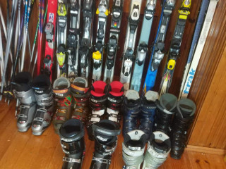 Горные лыжи