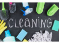professionalnyi-kliningovyi-servis-small-0