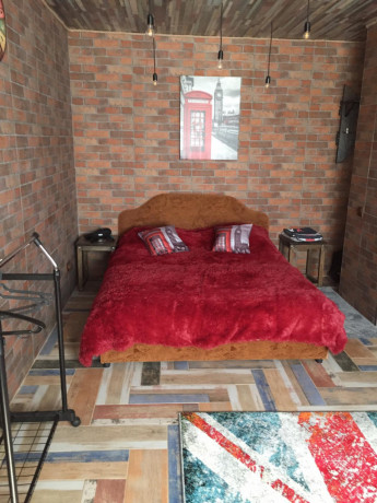 kvartira-v-stile-loft-na-sutki-i-casy-v-gomele-pr-t-oktiabria-22-big-1