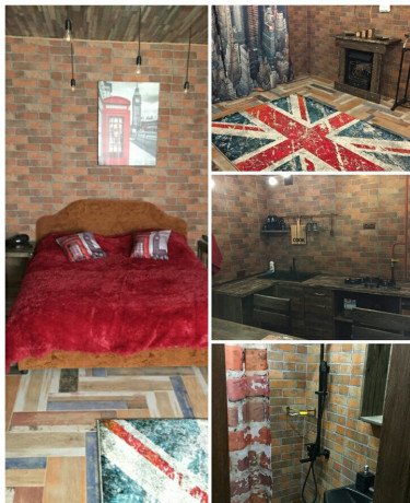 kvartira-v-stile-loft-na-sutki-i-casy-v-gomele-pr-t-oktiabria-22-big-4